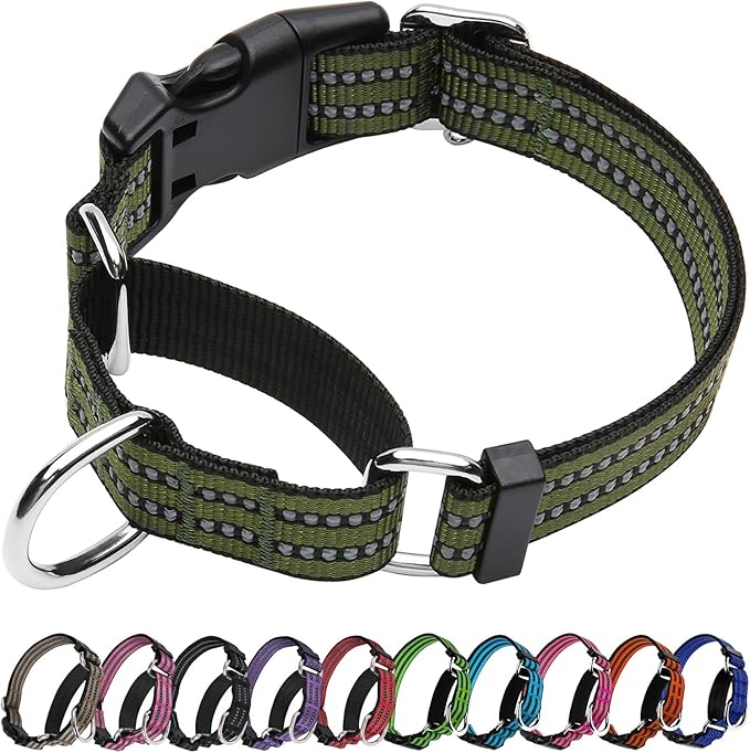 Martingale Dog Collar, Adjustable Nylon Reflective Collar with Quick Release Buckle (Forest Green, Medium)