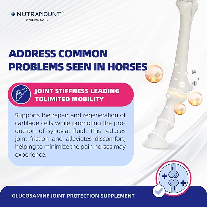 Glucosamine for Horses Joint Supplement for Horses Glucosamine Chondroitin Support Cartilage Health & Joint Mobility Horse Supplements 750g