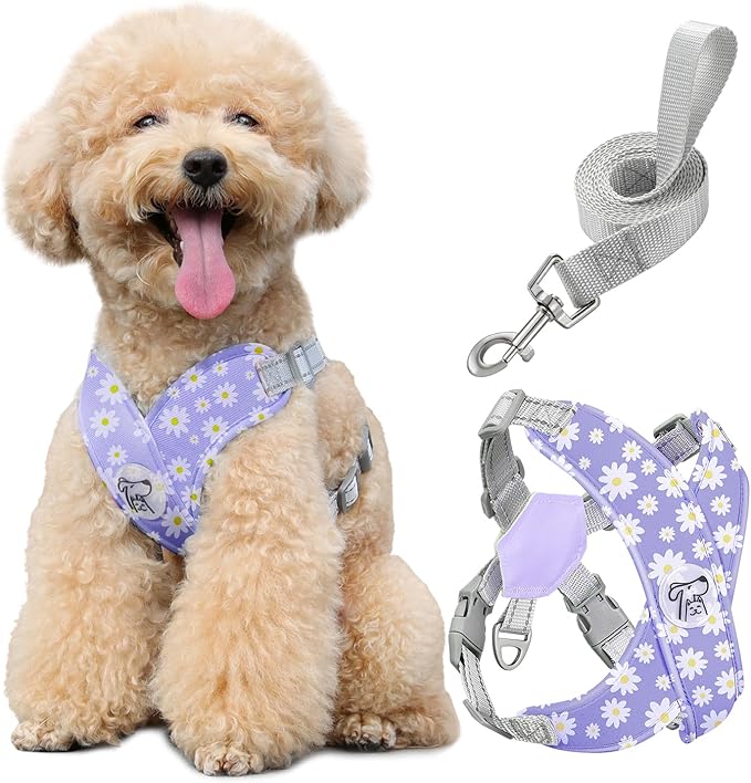 Pawaboo Small Dog Harness and Leash Set, Puppy Harness X-Frame No Pull No Choke, Dog Vest Harness Adjustable for Small Medium Sized Dogs,Soft Breathable Pet Harness for Walking Outing, M, Purple Daisy