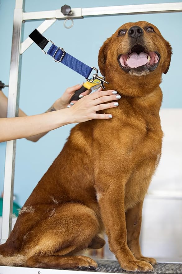 Pet Dog Grooming Table Arm Accessories Dog Grooming Loops for Table Arm Extender Adjustable Extension Loop Bathing Restraint Leash for Small & Medium Dogs(Olive Green & Light Blue)