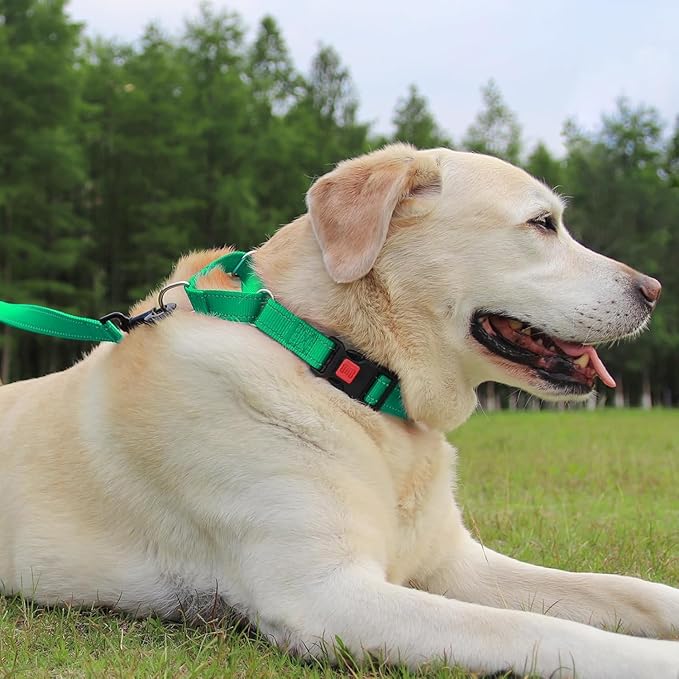 Joytale Martingale Collar for Dogs, Reflective Heavy Duty for Safety, Quick Release Buckle, Adjustable Nylon Collars for Medium Dogs Walking Training, Green,M