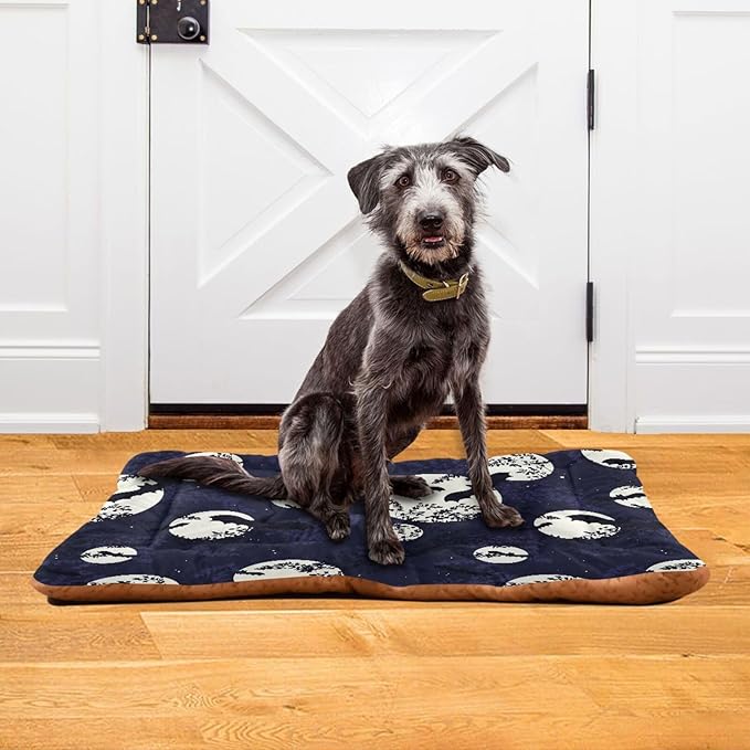 Pet Bed Halloween Bat Moon Dog Bed Mat Absorbing Non Slip Pad Pet Sleeping Mat for Small, Medium, and Large Dogs Puppy Cat 36 in x 24 in