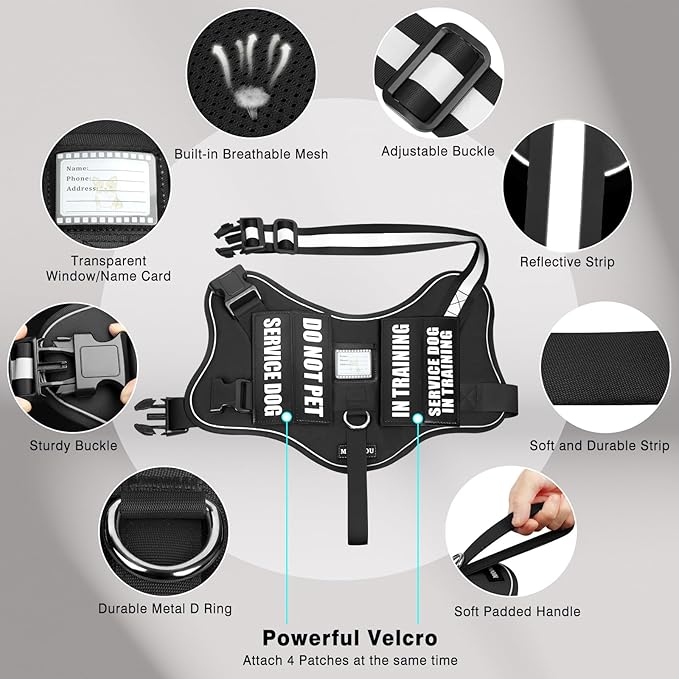 Service Dog Vest Harness and Leash Set+10 Patches,No Pull&Easy Walk Reflective Dog Harness with Soft Padded Handle for Training/Everyday,Fit Small/Medium/Large/Extra-Large Dogs(Black M)
