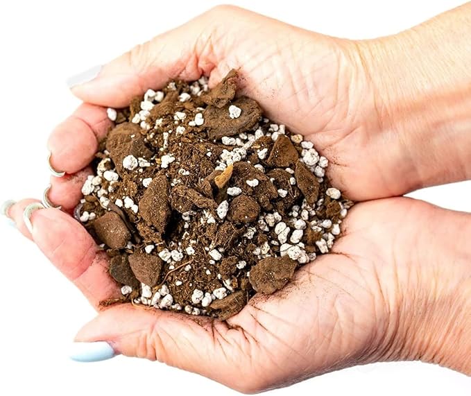 GARDENERA Palm Tree Potting Mix - The Ultimate Soil for Strong and Healthy Palms - Top Choice for Palm Tree Growers [5 Quart Bag]