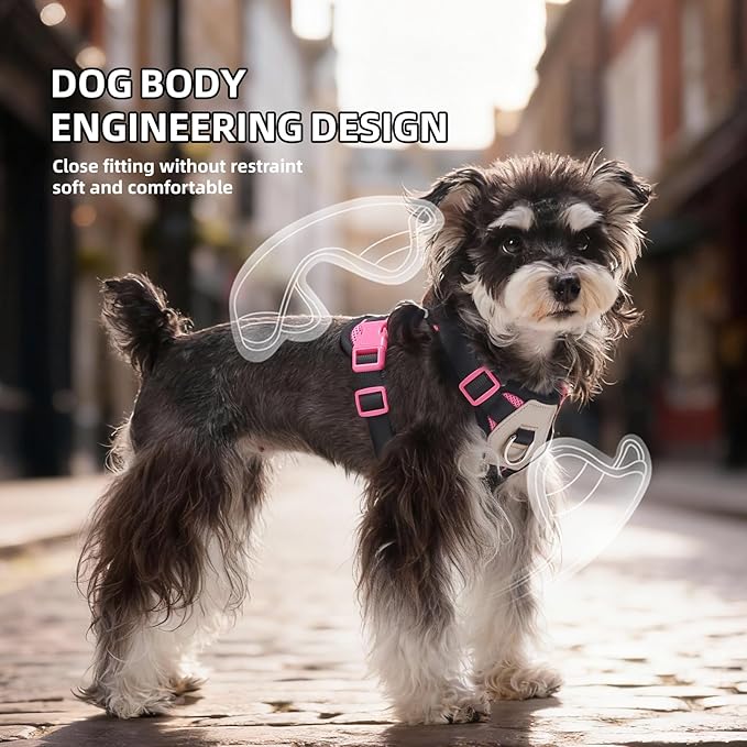 Small Dog Harness and Leash Set, Breathable Mesh Puppy Harness, Adjustable Dog Harness for Small Medium Large Dogs, No-Pull Pet Harness for Daily Walking (Hotpink, Small)