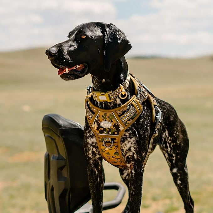 AUROTH Tactical Dog Harness for Small Medium Dogs No Pull Adjustable Pet Harness Reflective Working Training Easy Control Pet Vest Military Service Dog Harnesses Woodland Camo M