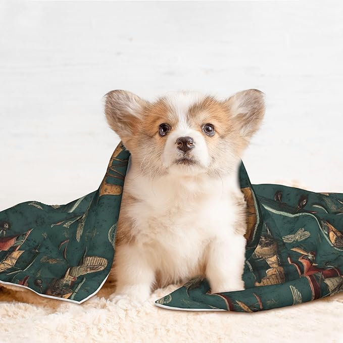 Waterproof Dog Blanket Soft Pet Blanket for Puppy Cat, Fleece Cat Throw Blankets for Furniture Bed Couch Sofa Reversible - Airplanes and Aviation Signs 1
