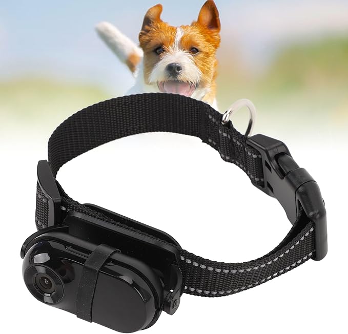 Cat Camera Collar, Pet Collar Camera with Memory Card, HD 1080P Wire Less Dog Tracker Camera Adjustable Mini Action Camera for Video Records (32GB)