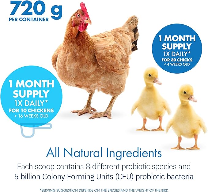 HealthyGut Probiotics for Chickens & Poultry, All-Natural Digestive System Dietary Supplement (90 Scoops)