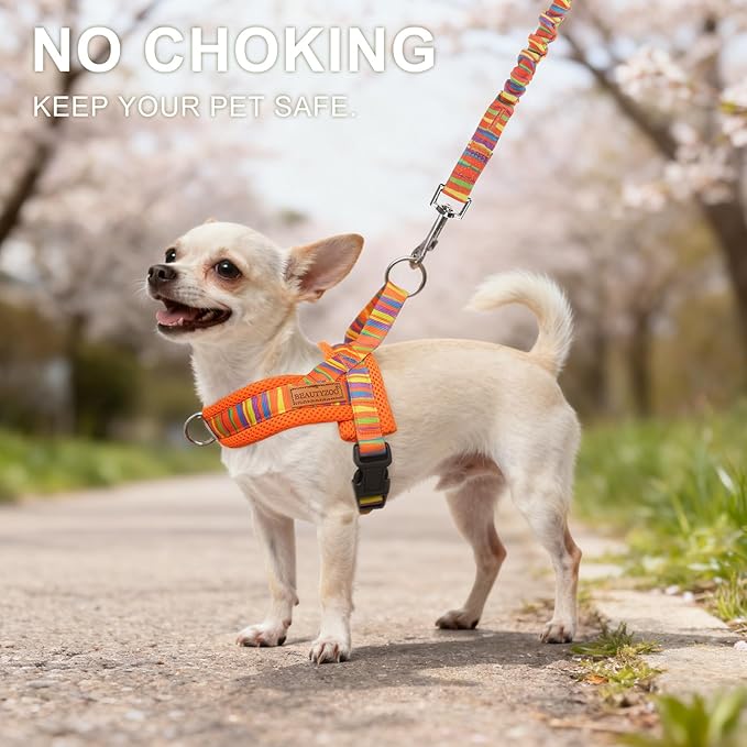 BEAUTYZOO Dog Harness for Small Dogs,No Pull Dog Harness and Leash Set,Soft Escape Proof Puppy Vest Harness with Handle,Reflective Lightweight Step in Harness for Girl Boy Dogs,Orange_Print XS