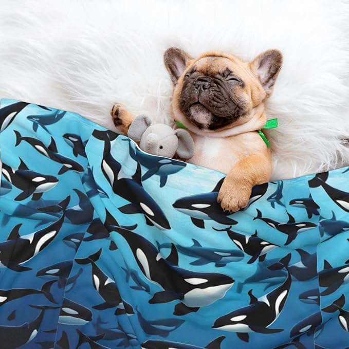 Two Sided Plush Pet Blanket for Crates Carriers Home Use, Killer Whales Orcas Ocean Sea Animals, Reversible Throw with Cozy Dot Fabric and Silky Reverse for Small Large Pets