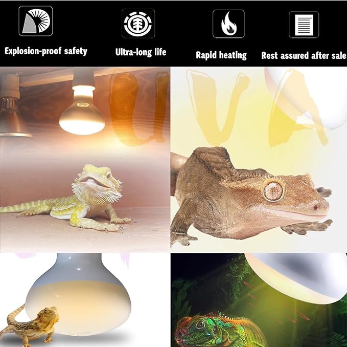 Reptile Heat Lamp Used in Reptiles 75W 100W Heat Lamp Bulbs for Reptiles 2 Pack Amphibians Basking Heat Lamp Bulbs UVA Daylight Basking Light (100Watts)