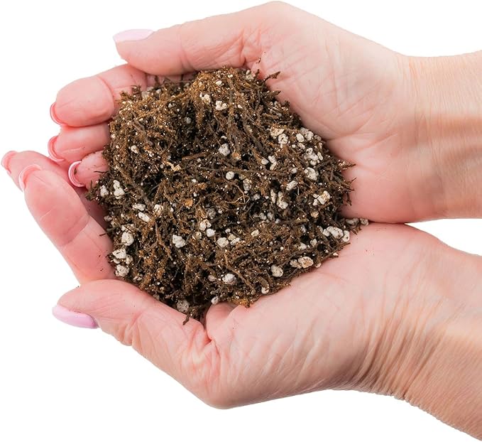 Gardenera Fern + Perlite Soil Mix for Repotting and Planting Succulents and Cactuses - 3 Quart Bag