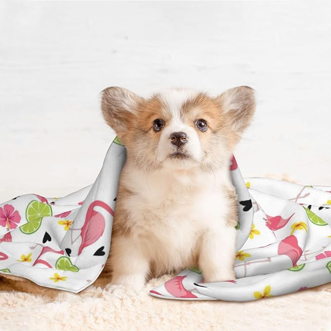 Dog and Cat Blanket in One, Cute Pink Flamingo, Double Sided Plush Throw with Raised Dot Pattern on One Side and Flat Velvet on Other for Variety