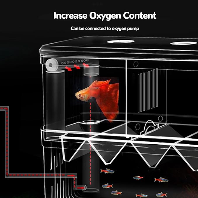 J-star Extra Large Fish Breeder Box for Aquarium Tank, Acrylic Breeding Box for Guppy/Betta/Shrimp/Clownfish, Baby Fish Hatchery & Isolation Tank