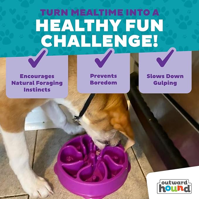 Outward Hound Fun Feeder Slo Bowl – Medium 2‑Cup Capacity, Slow Feeding