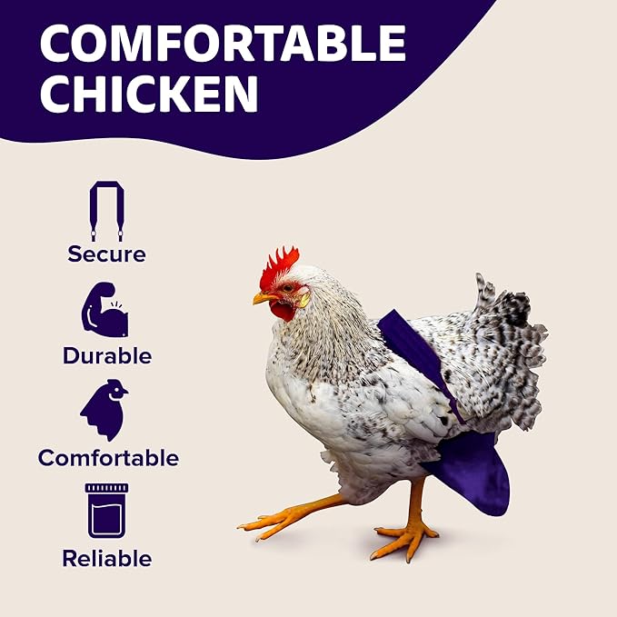 Hen Holster Bikini Diaper, Bird Diaper & Harness for Hens, Roosters, Ducks, Geese - with Removable Vinyl Liner, Adjustable Fit for Outdoor Adventures & Indoor Use - Easy to wear - S/M, Purple