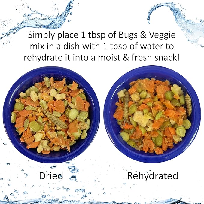 Exotic Nutrition Starter Package for Hedgehogs - Includes Exercise Wheel, Healthy Food, Natural Treat, Multi-Vitamin & Hideout
