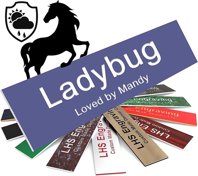 Horse Stall Name Plate, 2x10 Personalized Stall Signs, UV Protected, All Weather Adhesive, Hanging, Mounting or Other, Purple Plastic White Letters - Made in USA - B13