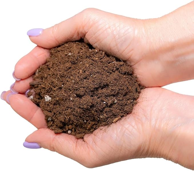 GARDENERA Premium Dracaena Potting Soil Mix - (10 Quart Bag)