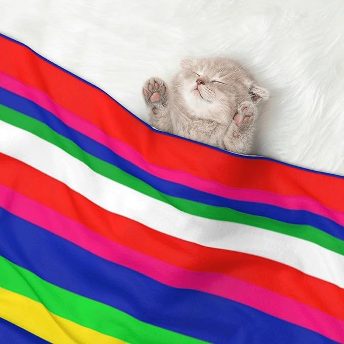 Reversible Plush Dot Pet Blanket for Dogs and Cats, Novel Colorful Mexican Blanket Stripes, Ultra Soft Two Sided Design with Warm Fuzzy Side and Smooth Side for Comfort