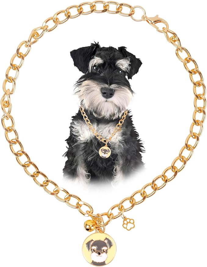 HOWWFALY Dog Collar and Cat Chain Necklace Stainless Steel Adjustable 18K Gold Heart-Shaped Necklace for Small Pets Cats Kitten Puppy (Gold, 14 inch)