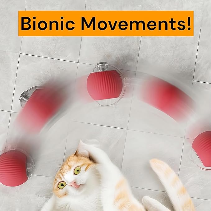 Interactive Electric Automatic Rolling Moving Rechargeable Self Play Stimulation Toy,Smart Pet Chase with Speedy Tail Rope for Bored Indoor Cats (Yellow)