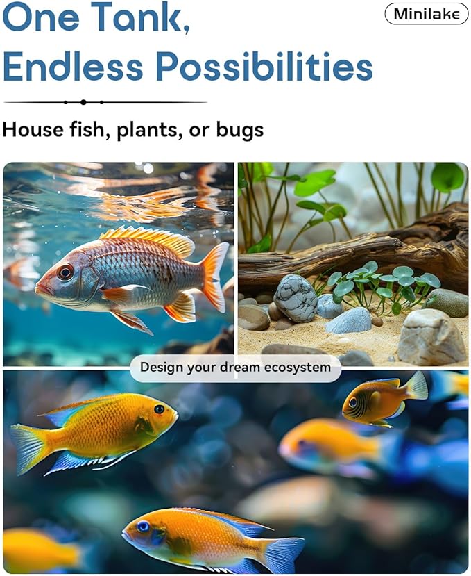 Glass Fish Tank Kit, 2.5 Gallon Betta Fish Tank Aquarium Starter Kit with Filter, Lights, Lid, for Betta, Goldfish, Small Fish or shrimg