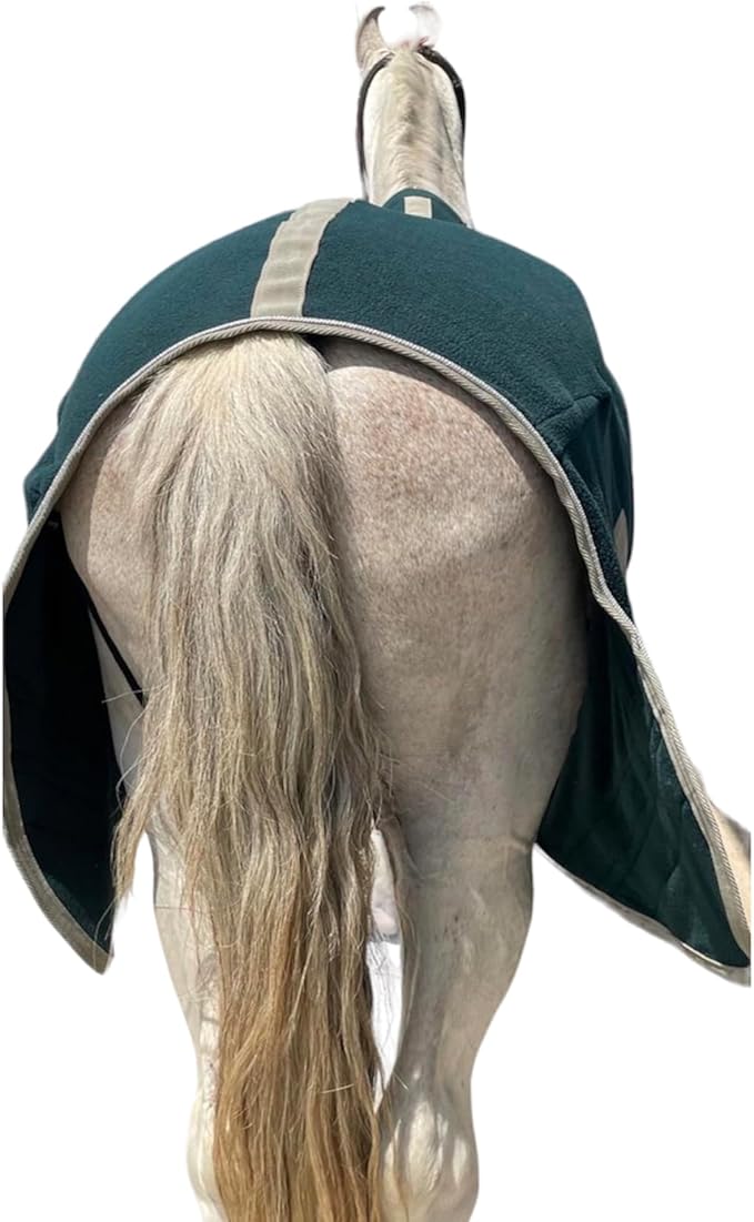 Majestic Ally Anti Pill Fleece Horse Blanket/Sheet with Silver Braided Rope (Hunter Green, 74)