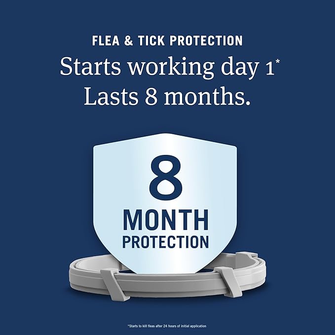 PetArmor Extend Large Dog Flea and Tick Treatment & Prevention, Collar for Large Dogs Above 18 lbs., 8 Months of Protection, Odorless & Non-Greasy, Waterproof, Kills Fleas, Ticks, and Larvae, 1 Count