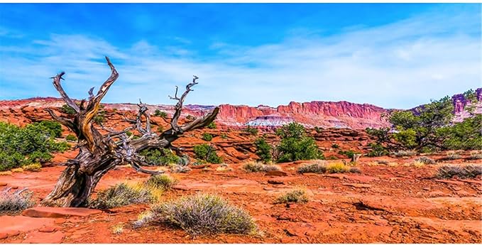 AWERT 72x16 inches Reptile Habitat Background Blue Sky Oasis Orange Desert Terrarium Background Durable Polyester Background