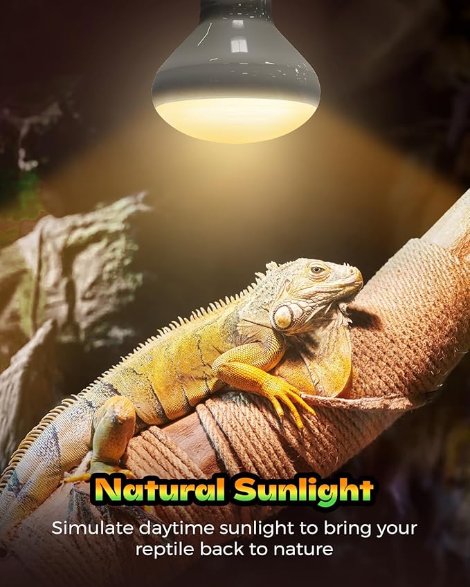 Reptile Heat Lamp, 2 Pack 75W Heat Lamp Bulbs for Reptiles, Amphibians Basking Heat Lamp Bulbs, UVA Daylight Basking Light for Reptiles, Bearded Dragon, Lizard, Turtle, Chicken