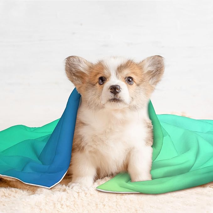 Waterproof Dog Blanket Soft Pet Blanket for Puppy Cat, Fleece Cat Throw Blankets for Furniture Bed Couch Sofa Reversible - Blue Green Colors