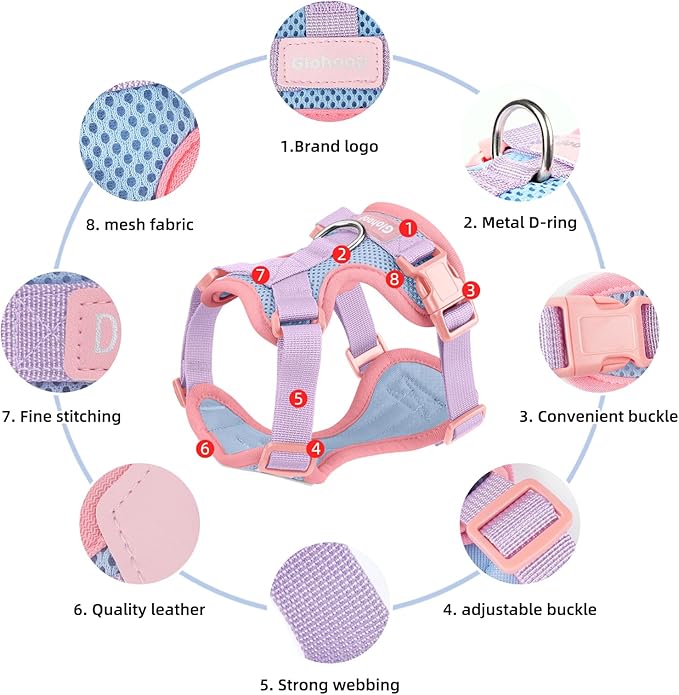 Small Dog Harness and Leash Set, Breathable Mesh Puppy Harness, Adjustable Dog Harness for Small Medium Large Dogs, No-Pull Pet Harness for Daily Walking (Blue, Medium)