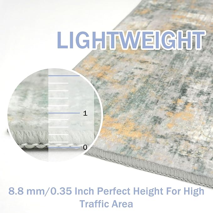 IOHOUZE Abstract Area Rug 3x5 Ft Washable Rugs