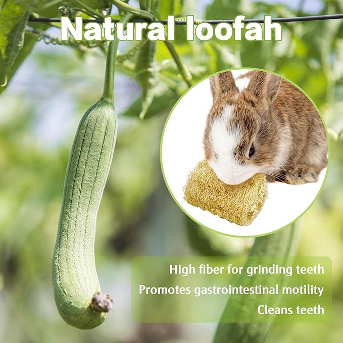 BNOSDM Bunny Chew Toys Natural Loofah 6PCS Bunny Teeth Grinding Toy Rabbit Fiber-Rich Treats Pet Entertainment Accessories for Rabbits Chinchillas Guinea Pig（XL）
