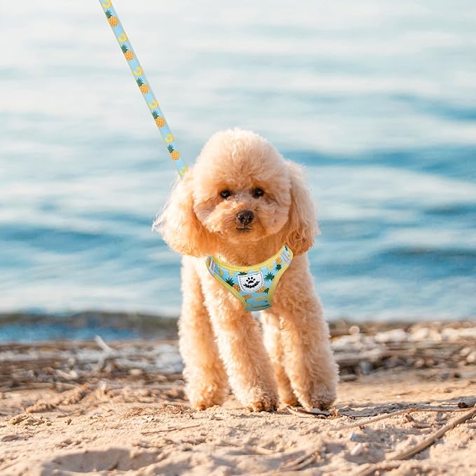 EXPAWLORER Small Dog Harness and Leash Set - Cute Puppy Harness Leash Dog Collar with AirTag Holder Silicone Case, Soft Padded Step in Pet Vest Reflective for Outdoor Walking, Pineapple M