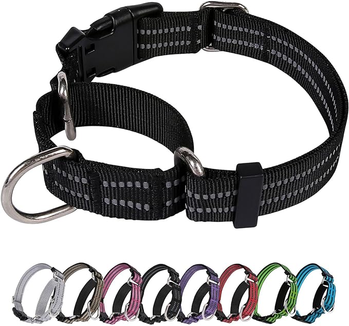 Martingale Dog Collar, Adjustable Nylon Reflective Collar with Buckle No Pull Dog Collar for Small Medium Large Dogs (Black L)