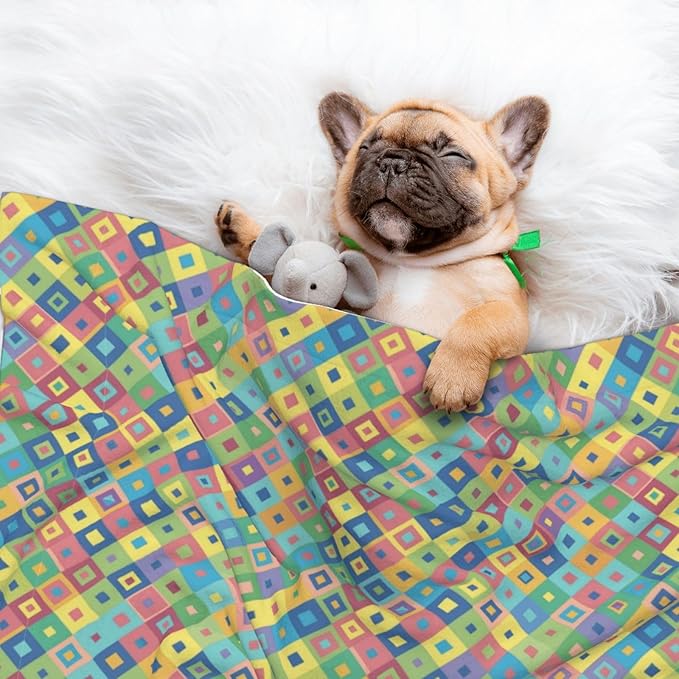 Reversible Plush Dot Pet Blanket for Dogs and Cats, Rainbow Diagonal Plaid, Ultra Soft Two Sided Design with Warm Fuzzy Side and Smooth Side for Comfort