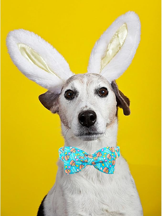 Lionheart Glory Easter Dog Collar - X-Small, Bowtie Design, Colorful Spring Collar for Puppies