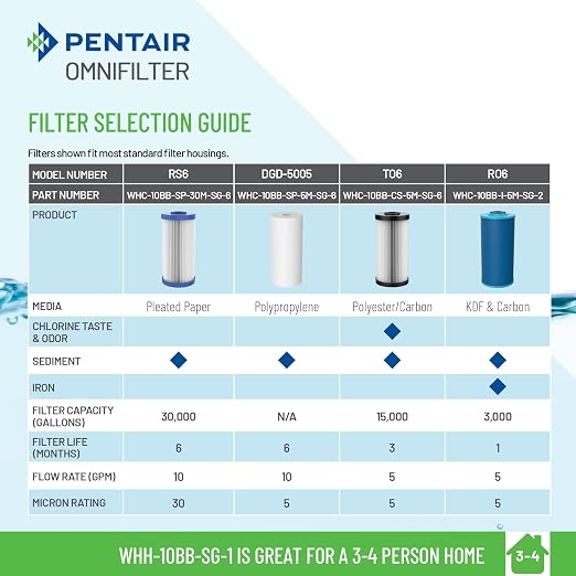 Pentair OMNIFilter Whole Home 10" Heavy-Duty Big Blue Water Filtration System