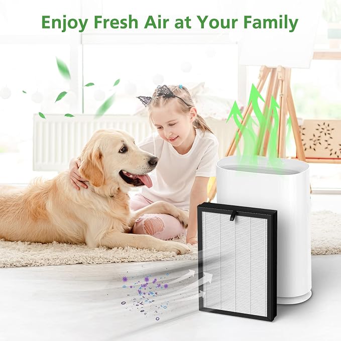 2 Pack H05 Replacement Filter, Compatible