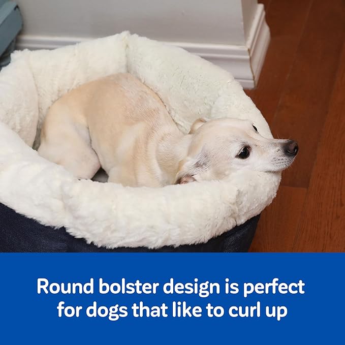 Petmate High Wall Small Dog Bed, 18 x 18in, for Small Breeds