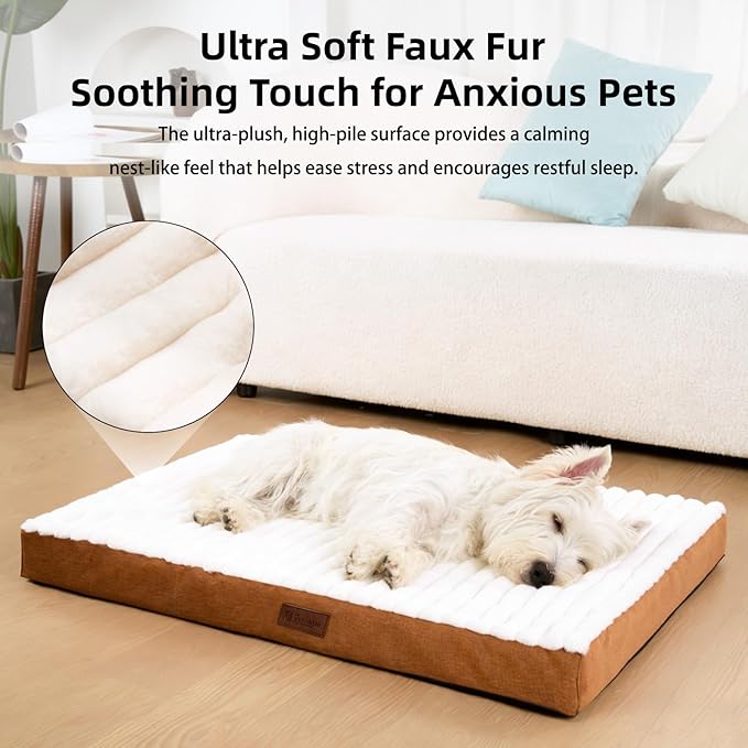 Orthopedic Dog Bed with Firm High-Density Egg Crate Foam,Soft Short Plush Surface Pet Beds,Machine Washable with Removable Cover & Non-Slip Bottom for Medium & Large Breeds (Brown, 35"L x 22"W x 3"H)