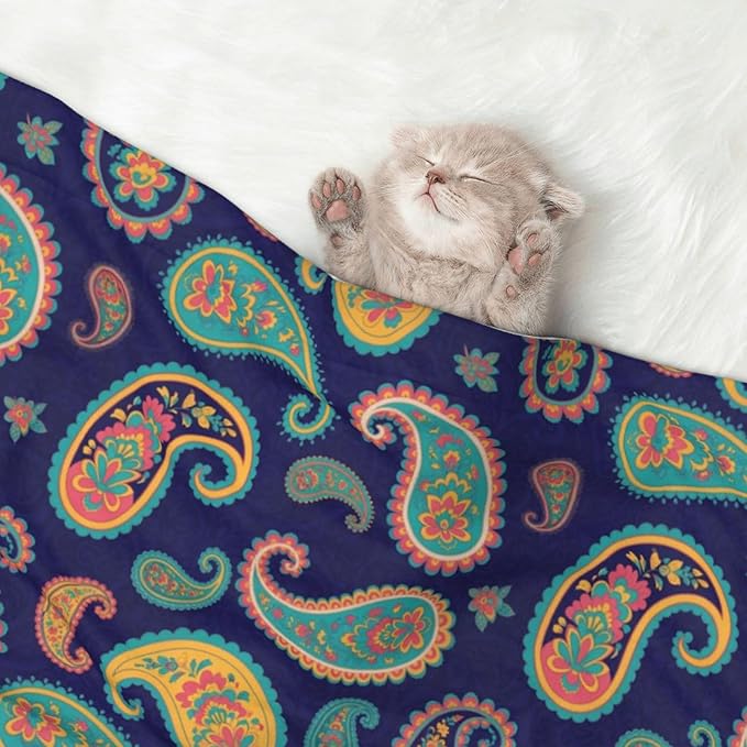 Pet Blanket for Couches and Beds, Colorful Paisley Flowers, Reversible Double Sided Plush Design with Soft Bumpy Texture and Smooth Surface, Furniture Protector