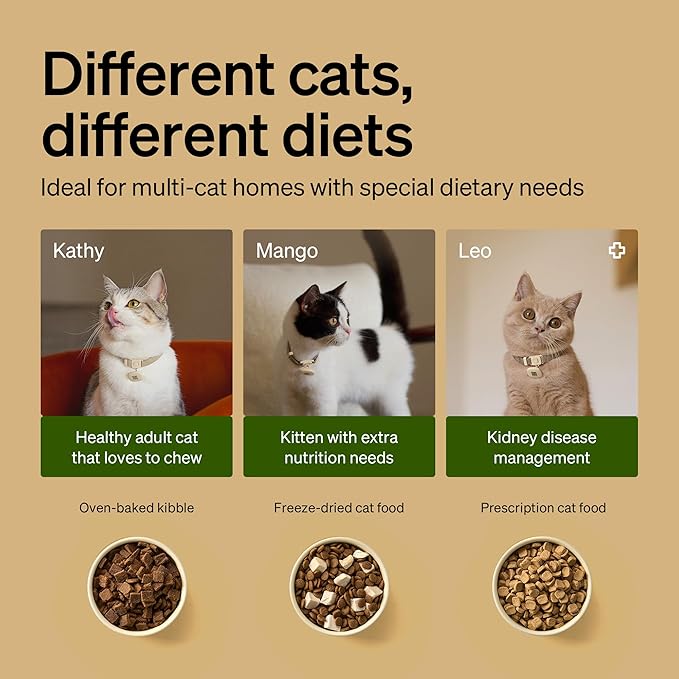 PETLIBRO RFID Cat Feeders for 2 Cats, Collar Sensor for Personalized Meals, Cats Recognition, Diet Tracking and Anti-Stealing for Multi-Pets Homes and Different Diets, Automatic Pet Feeder (Pack of 2)