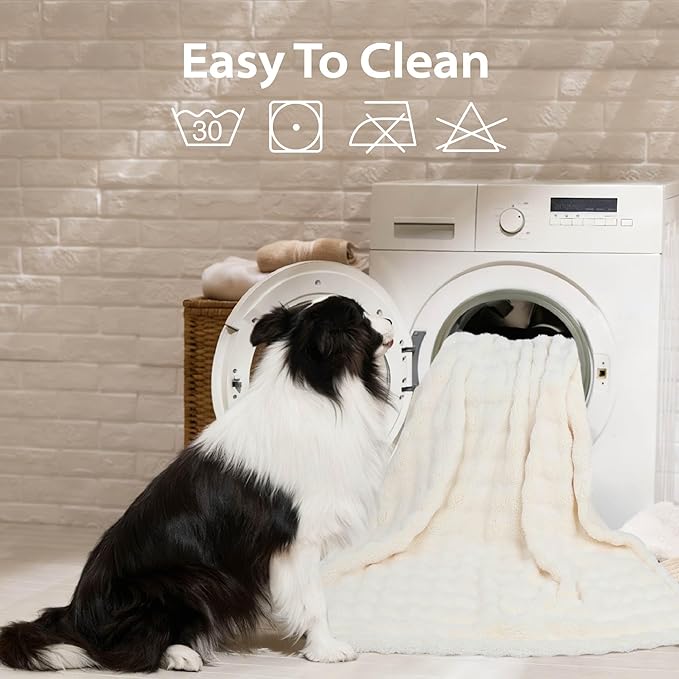 Dog Blankets Washable Pet Blanket - Fluffy Fuzzy Cat Puppy Blanket with Premium 300GSM 3D Fleece Bubble for Pet Kitten Doggy, Cream, 40x60IN