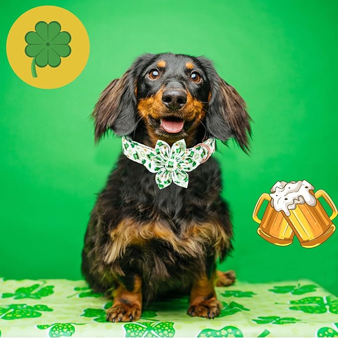 Lionheart glory St. Patrick's Day Dog Collar with Flower Dogs Collar,Soft Green Lucky Clover Shamrock Dog Collars Flower for X-Small Dogs Puppy Soft Collars Bows Heavy Duty