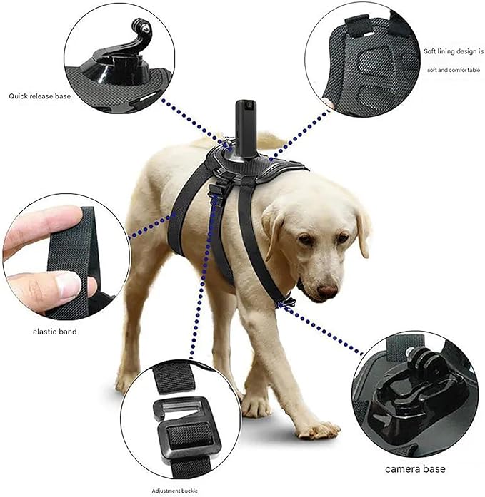 Pet Collar Camera, Dog Harness Camera, Live Viewing on Mobile Phone, WiFi Version for Dogs, Remote Operation, Strap Fixing Bracket, for Indoor/Outdoor