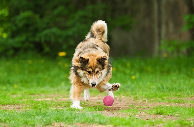 Snug Rubber Dog Balls for Small and Medium Dogs - Tennis Ball Size - Virtually Indestructible (3 Pack - Pink)
